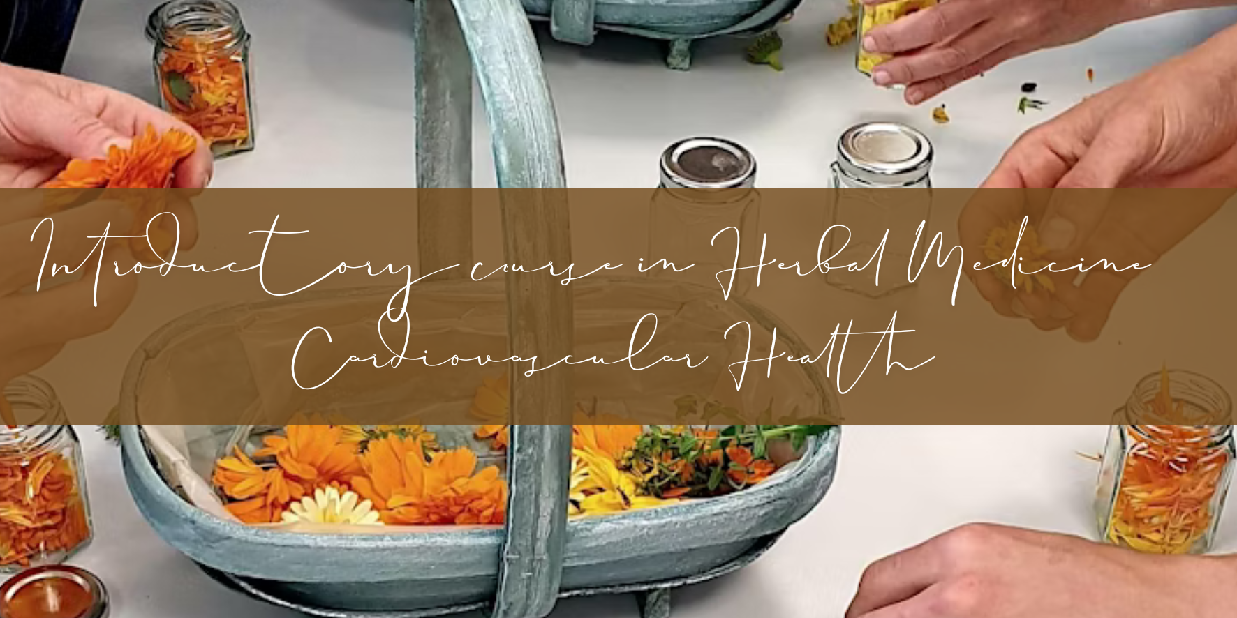 Introductory Course in Herbal Medicine - Cardiovascular Health